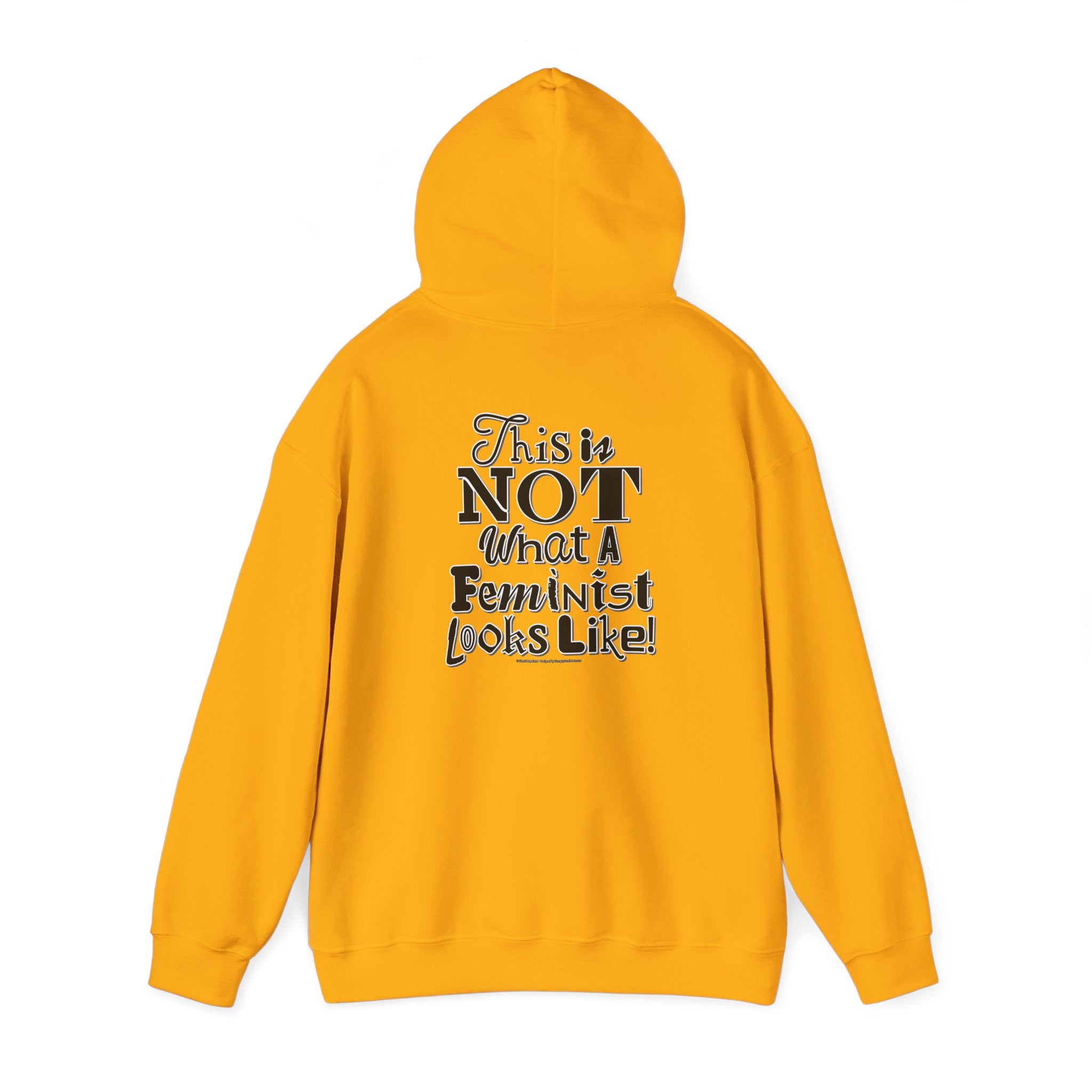 This is NOT What a Feminist Looks Like - Unisex Heavy Blend™ Hooded Sweatshirt